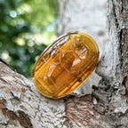 DLedc Ding Jia XL