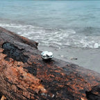 Image uploaded by api for Flow Stone-11