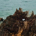 Image uploaded by api for Flow Stone-12